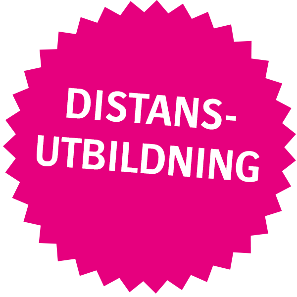 Distansutbildning